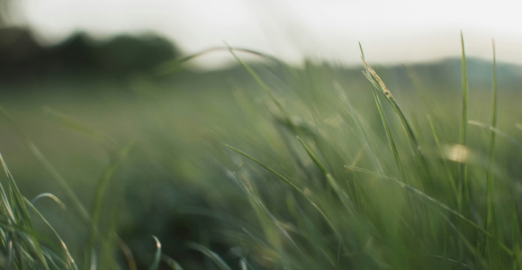 The Promise of the Holy Spirit