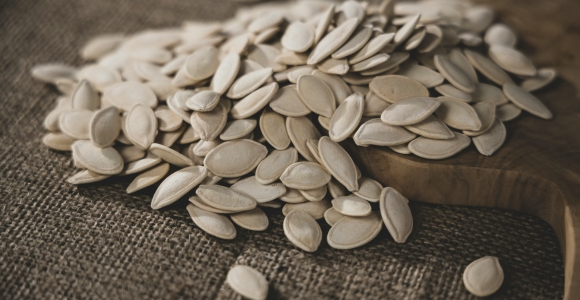 Justice Lessons of the Sower and the Seed