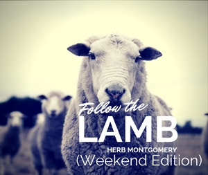 Follow the Lamb (Weekend Edition)